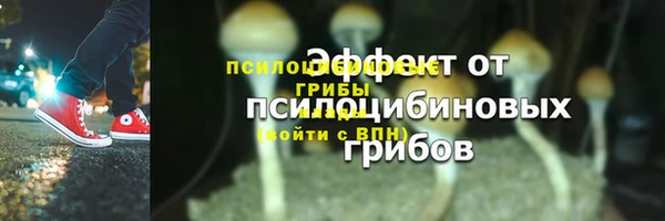 кокаин перу Богданович
